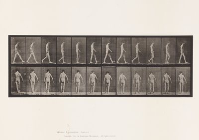 Plade 546.Locomotor Ataxia; Vandrende, 1885 af Eadweard Muybridge