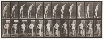 Plade 547.Hemiplegi; Walking with Crutch, 1885 af Eadweard Muybridge