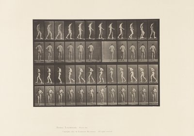 Plade 548. Lateral sklerose; A,B, Vandring, 1885 af Eadweard Muybridge