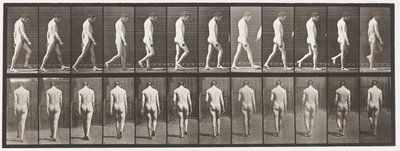 Plade 549.Epilepsi; Vandrende, 1885 af Eadweard Muybridge