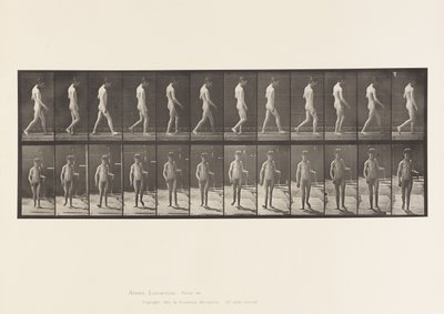 Plade 551.Epilepsi; Vandrende, 1885 af Eadweard Muybridge