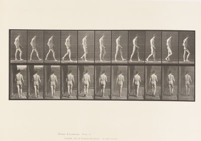 Plade 554.Locomotor Ataxia; Vandrende, 1885 af Eadweard Muybridge
