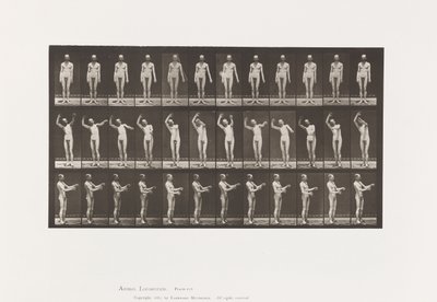 Plade 557.Lokal Chorea; A, B, C, mens du står, 1885 af Eadweard Muybridge