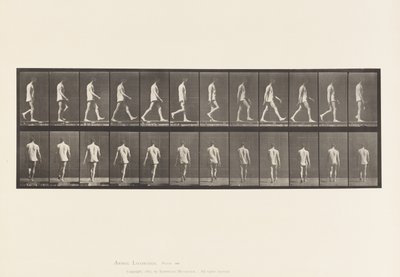 Plade 560.Locomotor Ataxia; Vandrende, 1885 af Eadweard Muybridge