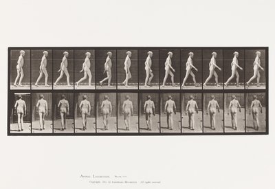 Plade 562. Sidekrumning af Rygsøjlen; Gåture af Eadweard Muybridge