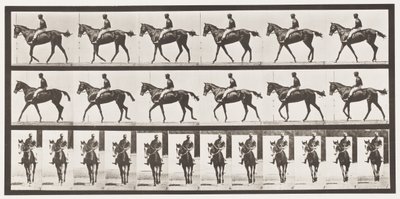 Tallerken 580.Gående; Sadel; Fuldblods Bay Hoppe Annie G., 1885 af Eadweard Muybridge