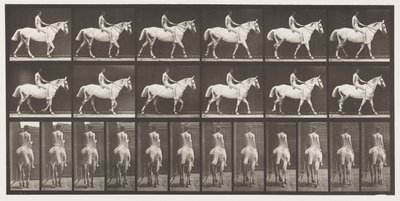 Plade 581.Walking;Bareback;Rider,43, Nøgen; Lysgrå hest Smith, 1885 af Eadweard Muybridge