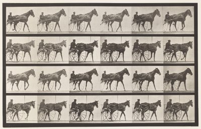 Tavle 587.Gående; Sulky; Sorrel Mare Nellie Rose, 1885 af Eadweard Muybridge
