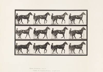 Tallerken 588.Gående; Sulky; Bay Horse Reuben, 1885 af Eadweard Muybridge