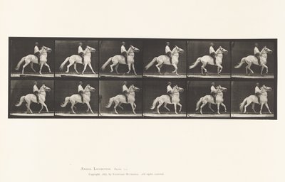 Plade 589.Ambling af Eadweard Muybridge