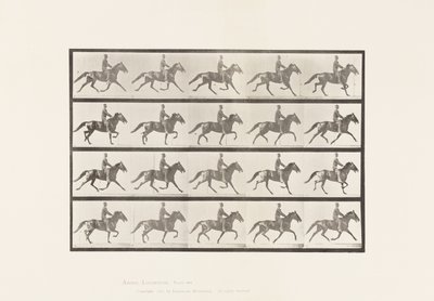 Plade 591.Vyngende af Eadweard Muybridge