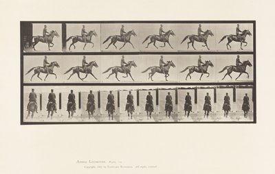 Plade 592. Gynge (Pacing): Sadel; Brun Hest Pronto af Eadweard Muybridge