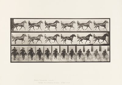 Plade 594. Vyngende (Pacing): Sulky; Brun Hest Pronto af Eadweard Muybridge