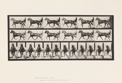 Plade 595. Vyngende (Pacing): Sulky; Brun Hest Pronto af Eadweard Muybridge
