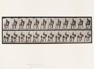 Tallerken 599. Trav; Bareback; Mørkegrå Dusel af Eadweard Muybridge