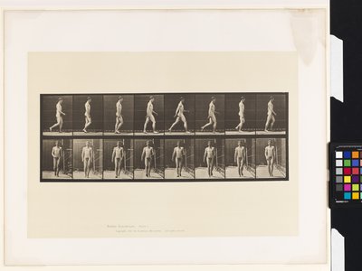 Plade 5.Gå af Eadweard Muybridge
