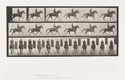 Tallerken 601. Trav; Sadel; Brun Hoppe skønhed af Eadweard Muybridge