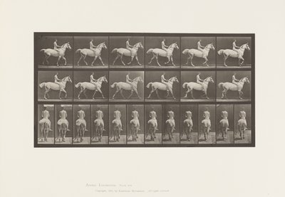 Plade 602.Trav;Bareback; Rytter, 43, nøgen; lysgrå hest Smith, 1885 af Eadweard Muybridge