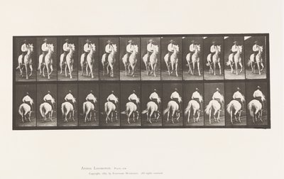 Tallerken 604. Trav; Sadel; White Horse, Elberon af Eadweard Muybridge
