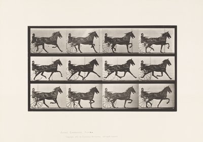 Tallerken 606. Trav; Sulky; Bay Horse, Ruben af Eadweard Muybridge
