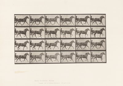Tallerken 607. Trav; Sulky; Bay Mare, Lizzie M. af Eadweard Muybridge