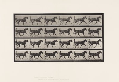 Tallerken 608. Trav; Sulky; Sorrel Hoppe, Flode Holden af Eadweard Muybridge
