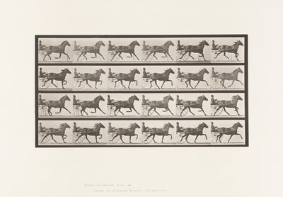 Tallerken 609. Trav; Sulky; Bay Mare, Lizzie M. af Eadweard Muybridge