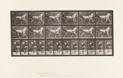 Tallerken 611. Trav; Sulky; Grå Hoppe, Katydid af Eadweard Muybridge