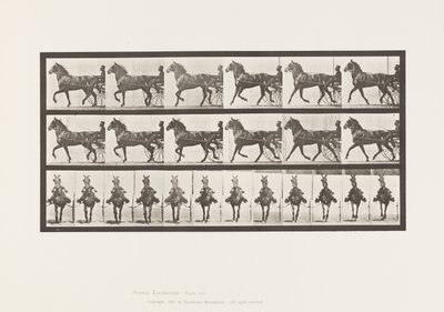 Tallerken 612. Trav; Sulky; Bay Horse, Dereumd af Eadweard Muybridge