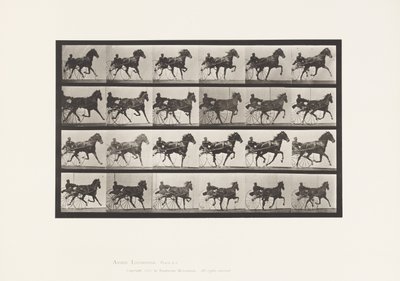 Tallerken 613. Trav; Sulky; Sorrel Hoppe Nellie Rose af Eadweard Muybridge