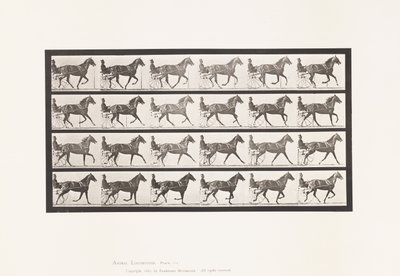 Tallerken 614. Trav; Bryde til Galop; Sorrel Hoppe Flode Holden af Eadweard Muybridge