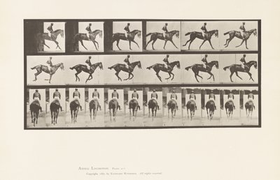 Tavle 620. Galop; Sadel; Fuldblods Bay Mare Annie 6. af Eadweard Muybridge