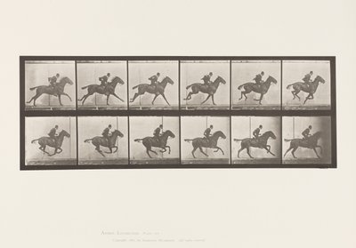 Tallerken 624. Galop; Sadel; Bay Horse Daisy af Eadweard Muybridge