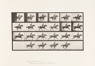 Tallerken 625. Galop; Fuldblods Bay Hestebuket af Eadweard Muybridge