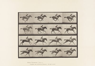 Tallerken 626. Galop; Fuldblods Bay Hoppe Annie G. af Eadweard Muybridge