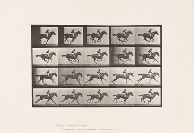 Tallerken 627. Galop; Fuldblods Bay Hoppe Annie G. af Eadweard Muybridge