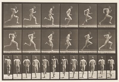 Plade 62. Kører i fuld fart., 1872-1885 af Eadweard Muybridge
