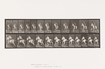 Tallerken 630. Galop; Sadel; Grå Hoppe Pandora af Eadweard Muybridge