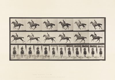 Tallerken 632. Galop; Sadel; Fuldblods Bay Hestebuket af Eadweard Muybridge