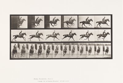 Tallerken 633. Galop; Sadel; Fuldblods Bay Hestebuket af Eadweard Muybridge