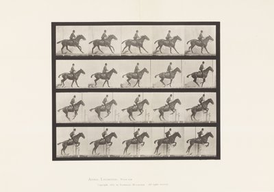 Tavle 636. Springer en Hurdle; Sadel; Forberedelse til springet af Eadweard Muybridge