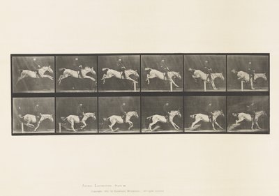 Tavle 641. Springer en Hurdle; Sadel; Banke over hurdle og af Eadweard Muybridge