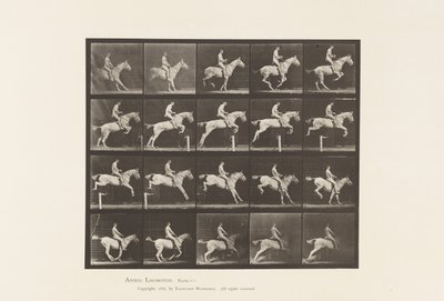 Tavle 642. Springer en Hurdle; Sadel; Rytter, 105, Nøgen; Grå Hoppe, 1885 af Eadweard Muybridge