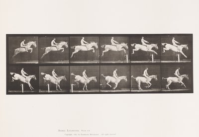 Plade 643. Hoppe en hække; Bareback; Rydning og landing; af Eadweard Muybridge