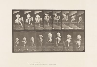 Tavle 644. Springer en Hurdle; Sadel; Rydning og landing af Eadweard Muybridge