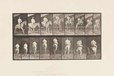 Plade 645. Hoppe en hæk; Sadel; Rydning og landing af Eadweard Muybridge