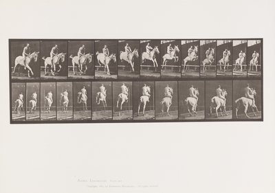 Tavle 647. Springer en Hurdle; Bareback; Rytter af Eadweard Muybridge
