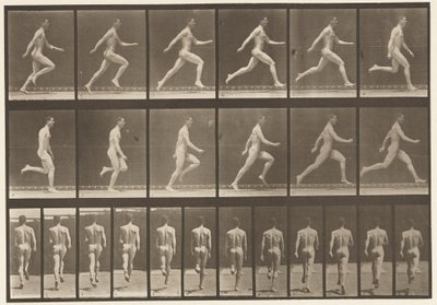 Plade 64. Kører i fuld fart af Eadweard Muybridge