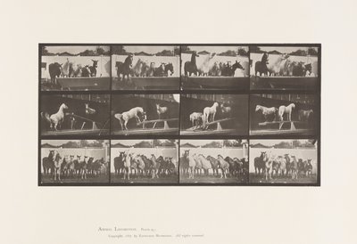 Tavle 651.A, Klokkering; B, Vippebræt; C, Militærøvelse af Eadweard Muybridge