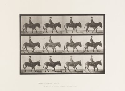 Tallerken 665. Ass; Gåture; Bareback; en dreng, der rider, Jennie af Eadweard Muybridge